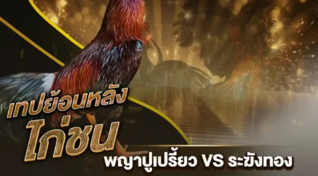 เทปไก่ชน 02 ธันวาคม 2566