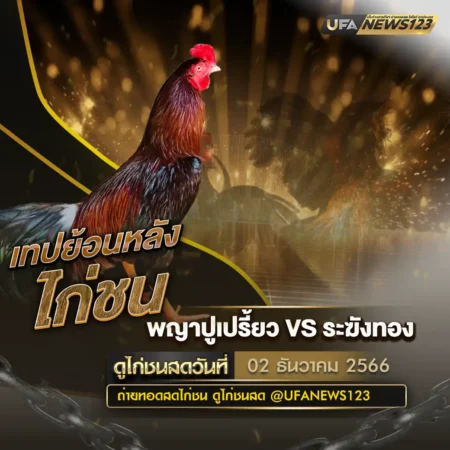 เทปไก่ชน 02 ธันวาคม 2566