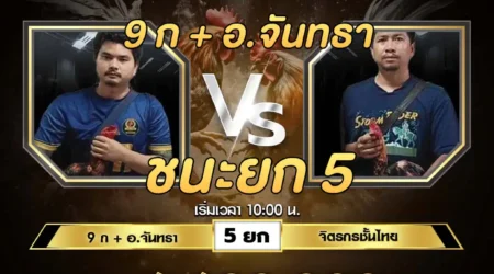 เทปไก่ชน 9 ก+อ.จันทธา VS จิตรกรชั้นไทย 15 มิถุนายน 2567