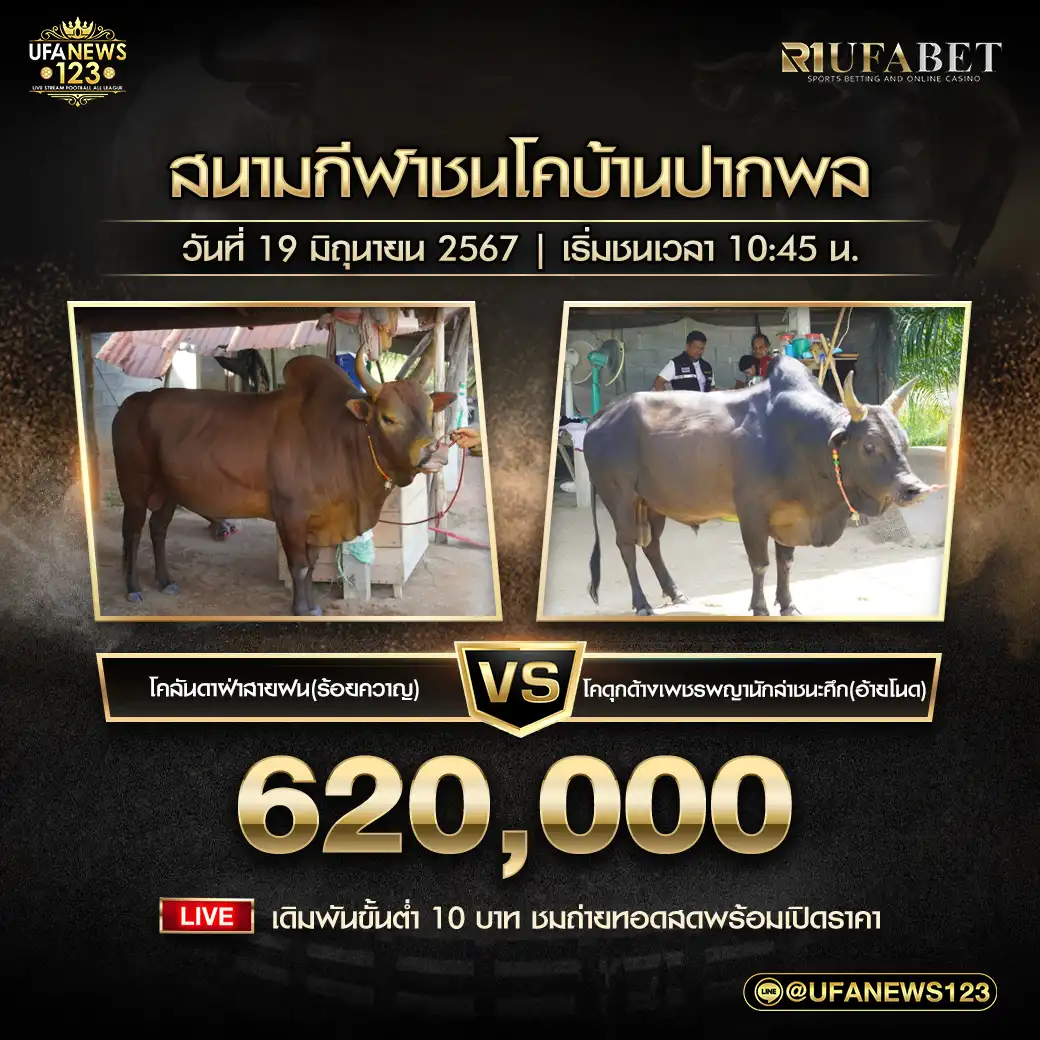 ดุกด้างเพชรพญานักล่าชนะศึก (อ้ายโนด) VS อันดาฝ่าสายฝน (ร้อยควาญ) ชิงรางวัล 620,000 บาท