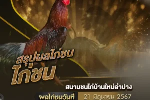 ผลไก่ชน 21 มิถุนายน 2567