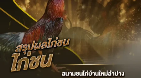 ผลไก่ชน 21 มิถุนายน 2567