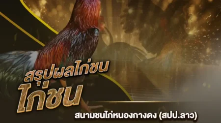 ผลไก่ชน 27 มิถุนายน 2567