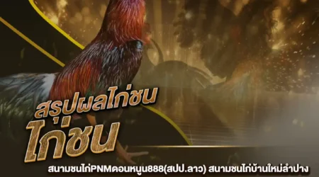 ผลไก่ชน 28 มิถุนายน 2567