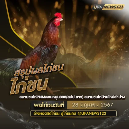 ผลไก่ชน 28 มิถุนายน 2567