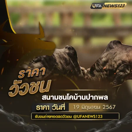 ราคาวัวชน 19 มิถุนายน 2567