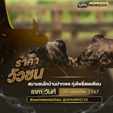 ราคาวัวชน 20 มิถุนายน 2567