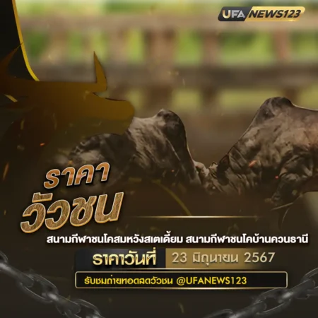 ราคาวัวชน 23 มิถุนายน 2567