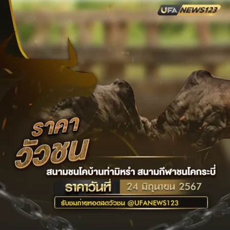 ราคาวัวชน 24 มิถุนายน 2567