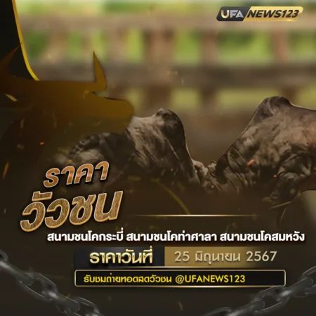 ราคาวัวชน 25 มิถุนายน 2567