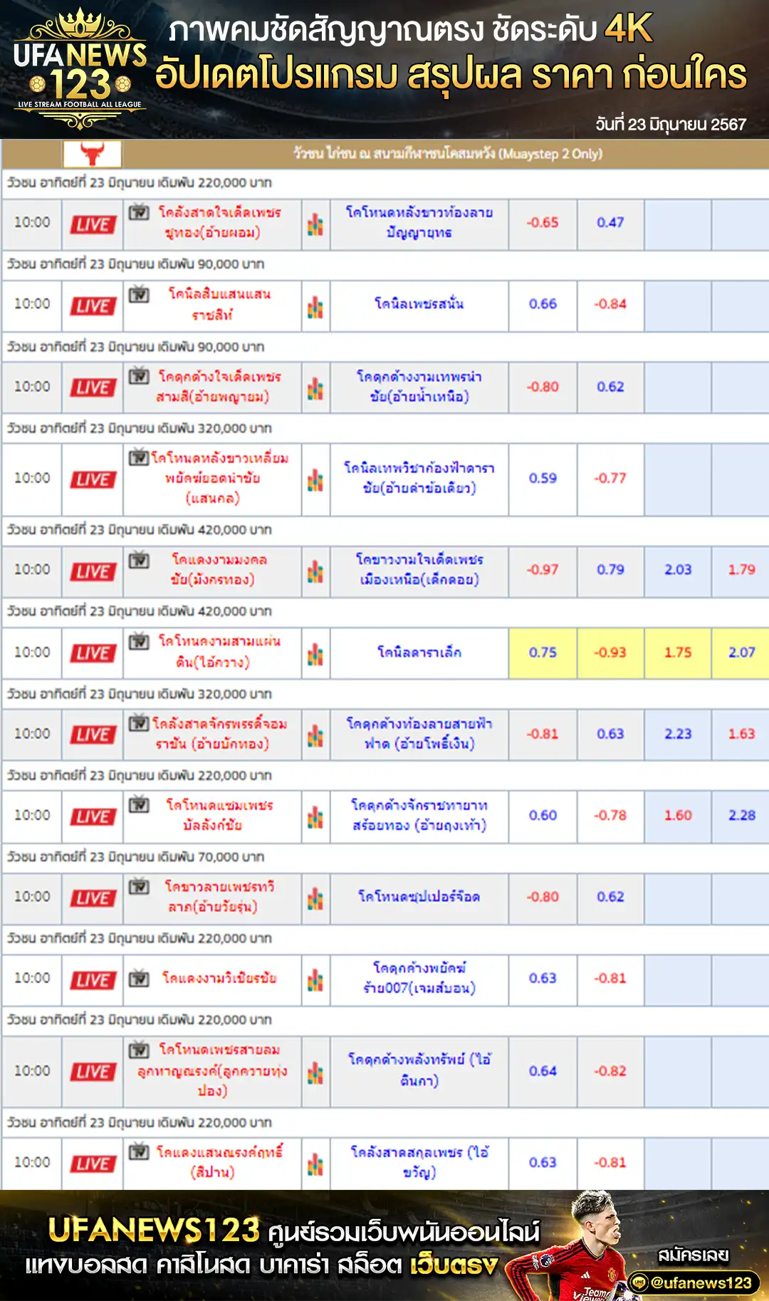 ราคาวัวชน สนามกีฬาชนโคสมหวังสเตเดี้ยม 23 มิถุนายน 2567