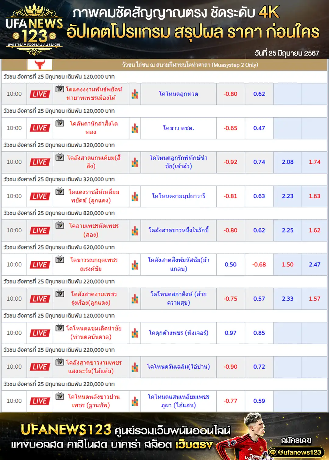 ราคาวัวชน สนามชนโคท่าศาลา 25 มิถุนายน 2567