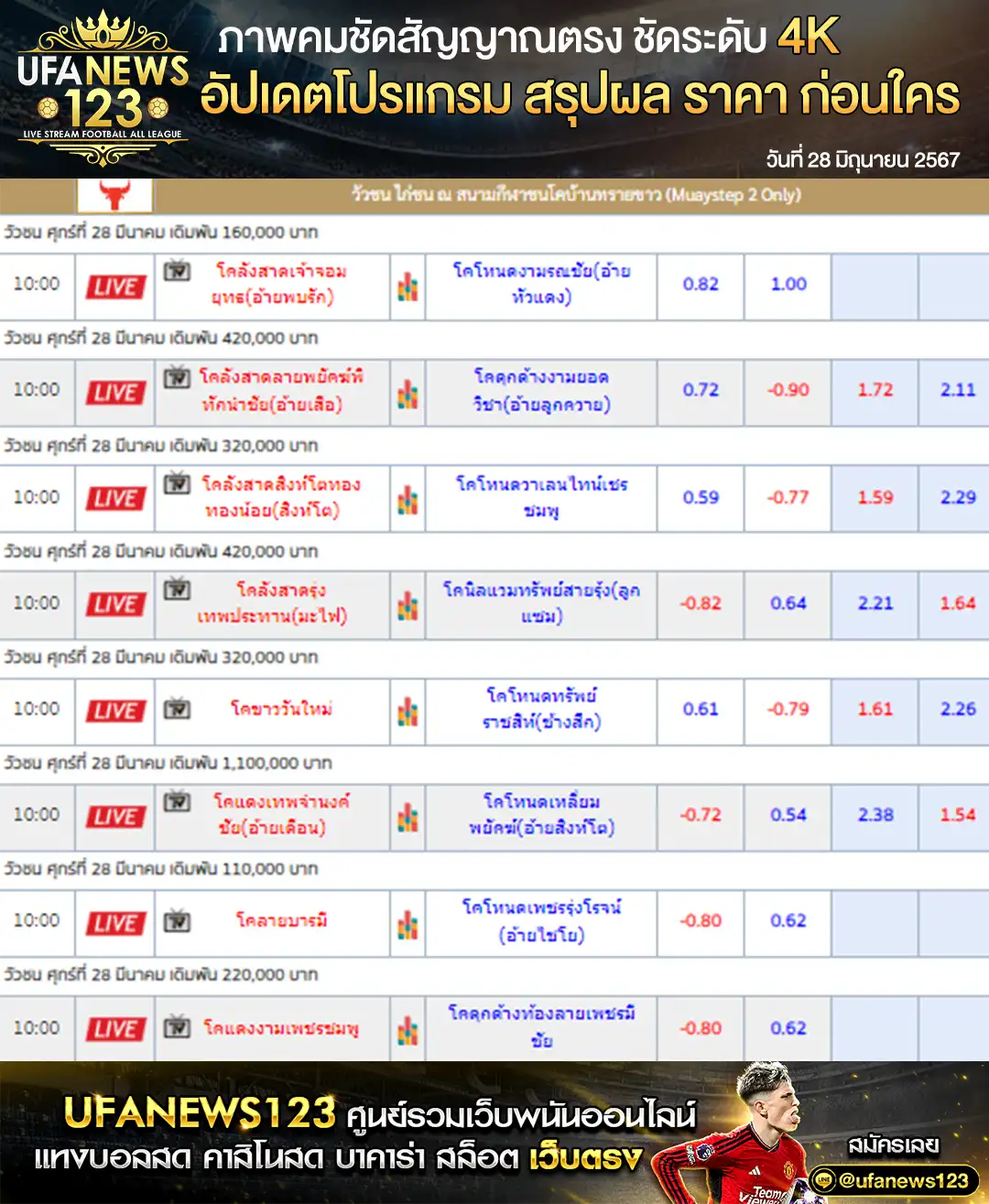 ราคาวัวชน สนามชนโคบ้านทรายขาว 28 มิถุนายน 2567