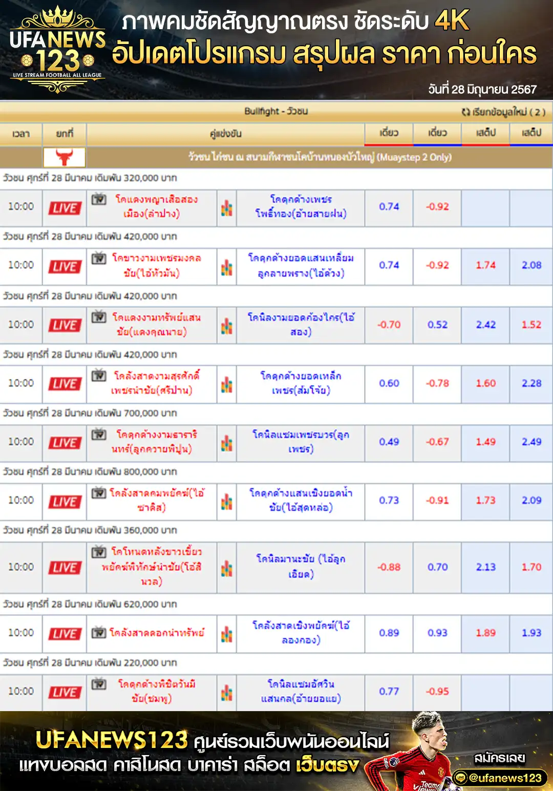 ราคาวัวชน สนามชนโคบ้านหนองบัวใหญ่ 28 มิถุนายน 2567