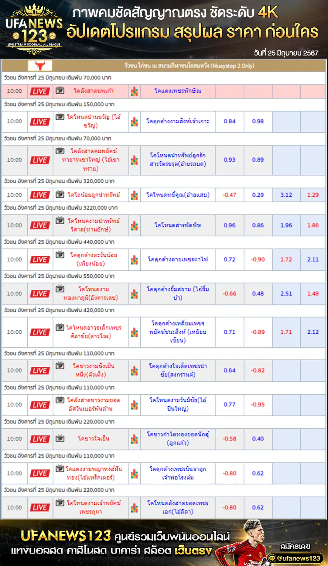 ราคาวัวชน สนามชนโคสมหวัง 25 มิถุนายน 2567