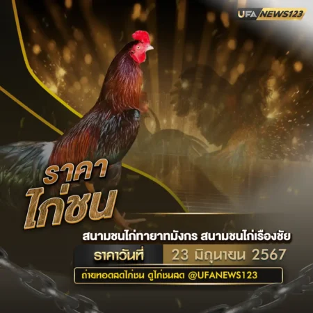 ราคาไก่ชน 23 มิถุนายน 2567