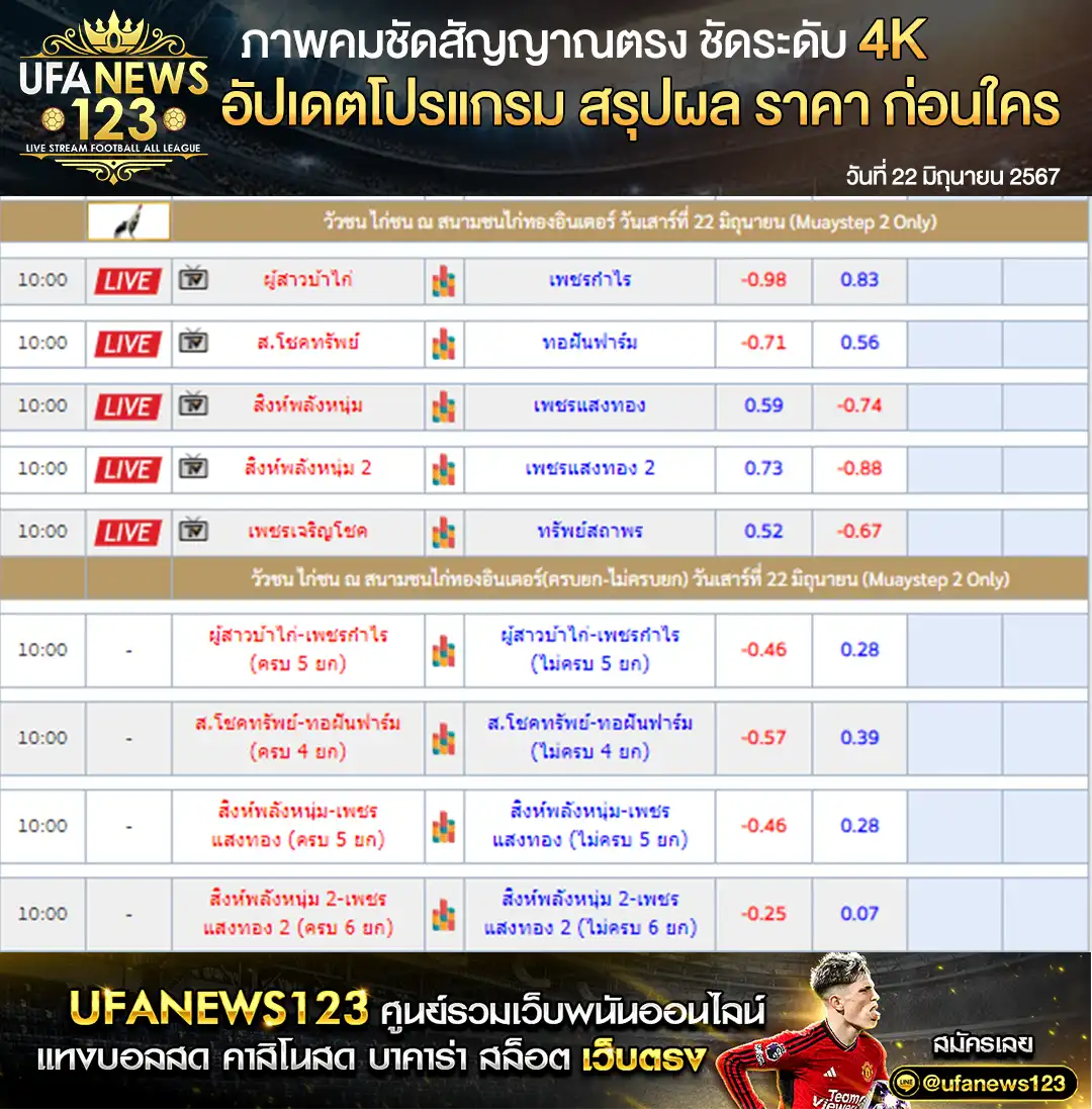 ราคาไก่ชน สนามชนไก่ทองอินเตอร์ 22 มิถุนายน 2567