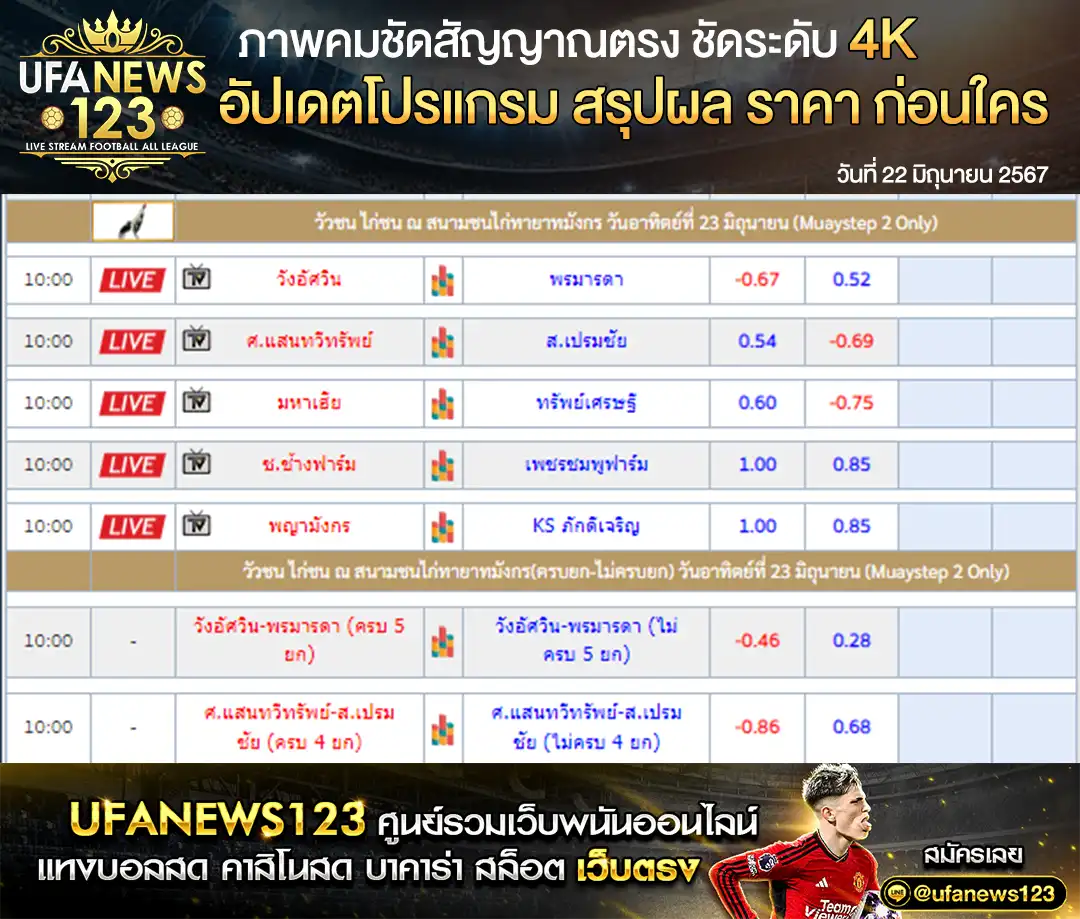 ราคาไก่ชน สนามชนไก่ทายาทมังกร 22 มิถุนายน 2567