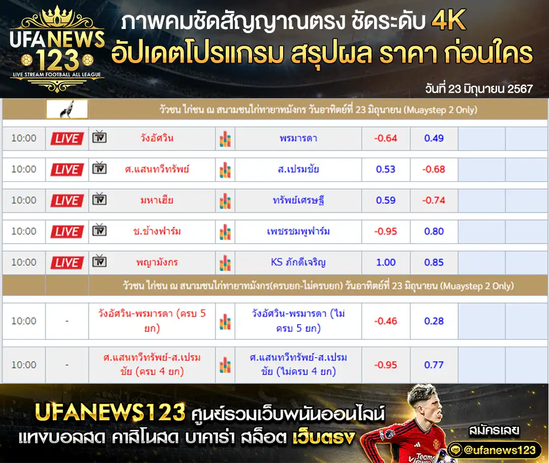 ราคาไก่ชน สนามชนไก่ทายาทมังกร 23 มิถุนายน 2567