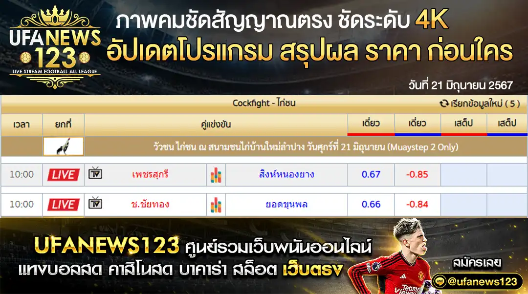 ราคาไก่ชน สนามชนไก่บ้านใหม่ลำปาง 21 มิถุนายน 2567