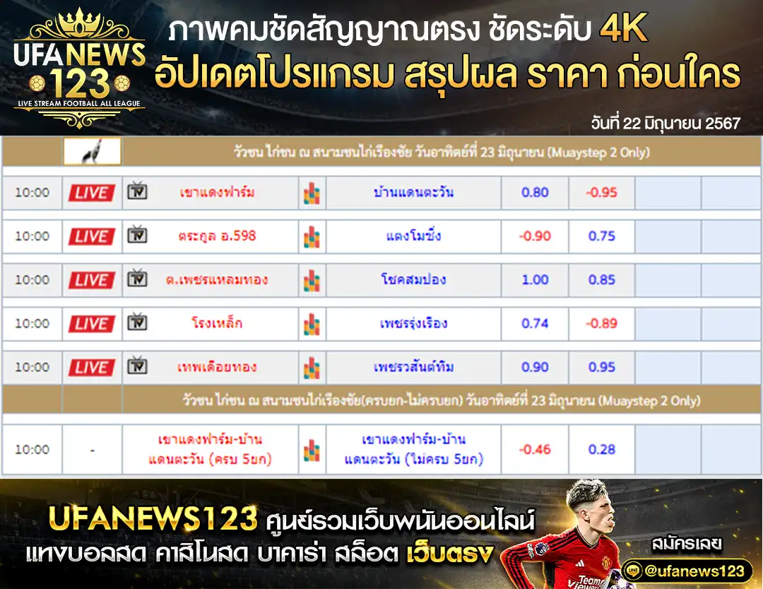 ราคาไก่ชน สนามชนไก่เรืองชัย 22 มิถุนายน 2567