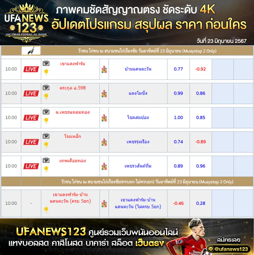 ราคาไก่ชน สนามชนไก่เรืองชัย 23 มิถุนายน 2567