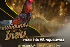 เทปไก่ชน 16 ธันวาคม 2567