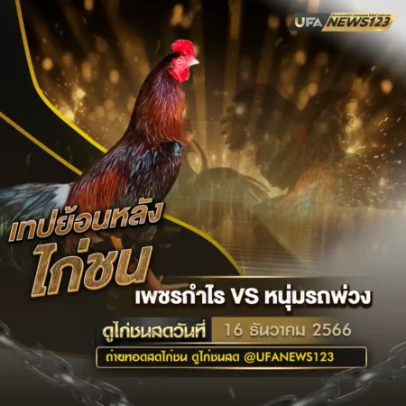 เทปไก่ชน 16 ธันวาคม 2567