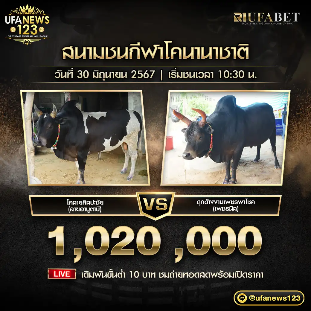 โคลายศิลปะชัย (ลายอาบูตาบี) VS ดุกด้างงามเพชรพาโชค (เพชรนิล) ชิงรางวัล 1,020,000 บาท