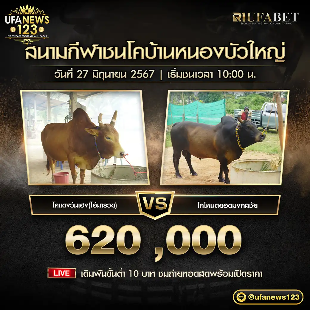 โคแดงวันเฮง (ไอ้มารวย) VS โคโหนดยอดมงคลชัย ชิงรางวัล 620,000 บาท