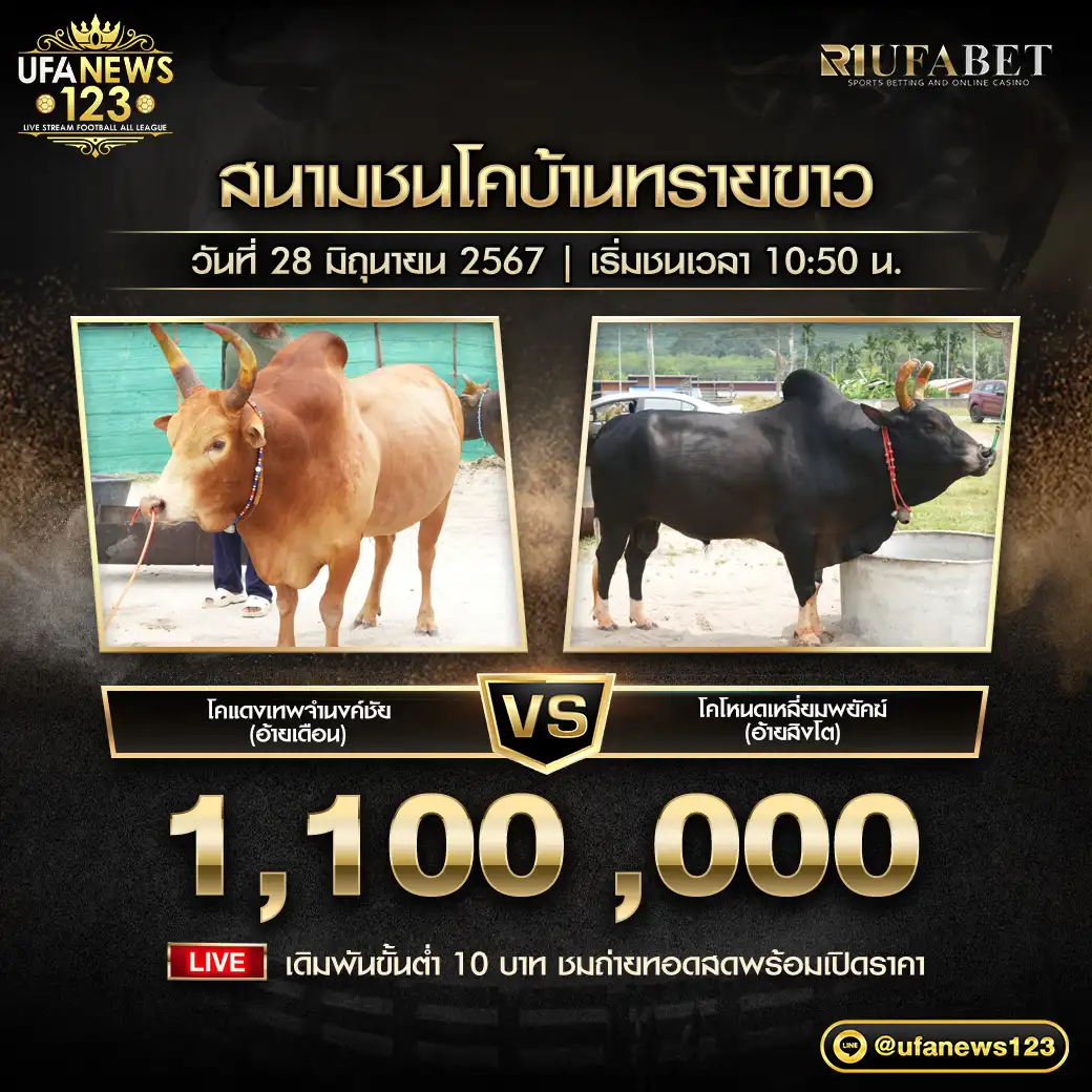 โคแดงเทพจำนงค์ชัย (อ้ายเดือน) VS โคโหนดเหลี่ยมพยัคฆ์ (อ้ายสิงโต) ชิงรางวัล 1,100,000 บาท