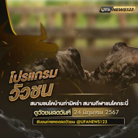 โปรแกรมวัวชน 24 มิถุนายน 2567