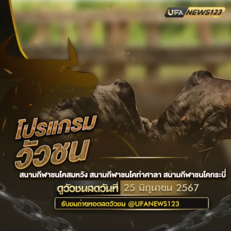 โปรแกรมวัวชน 25 มิถุนายน 2567