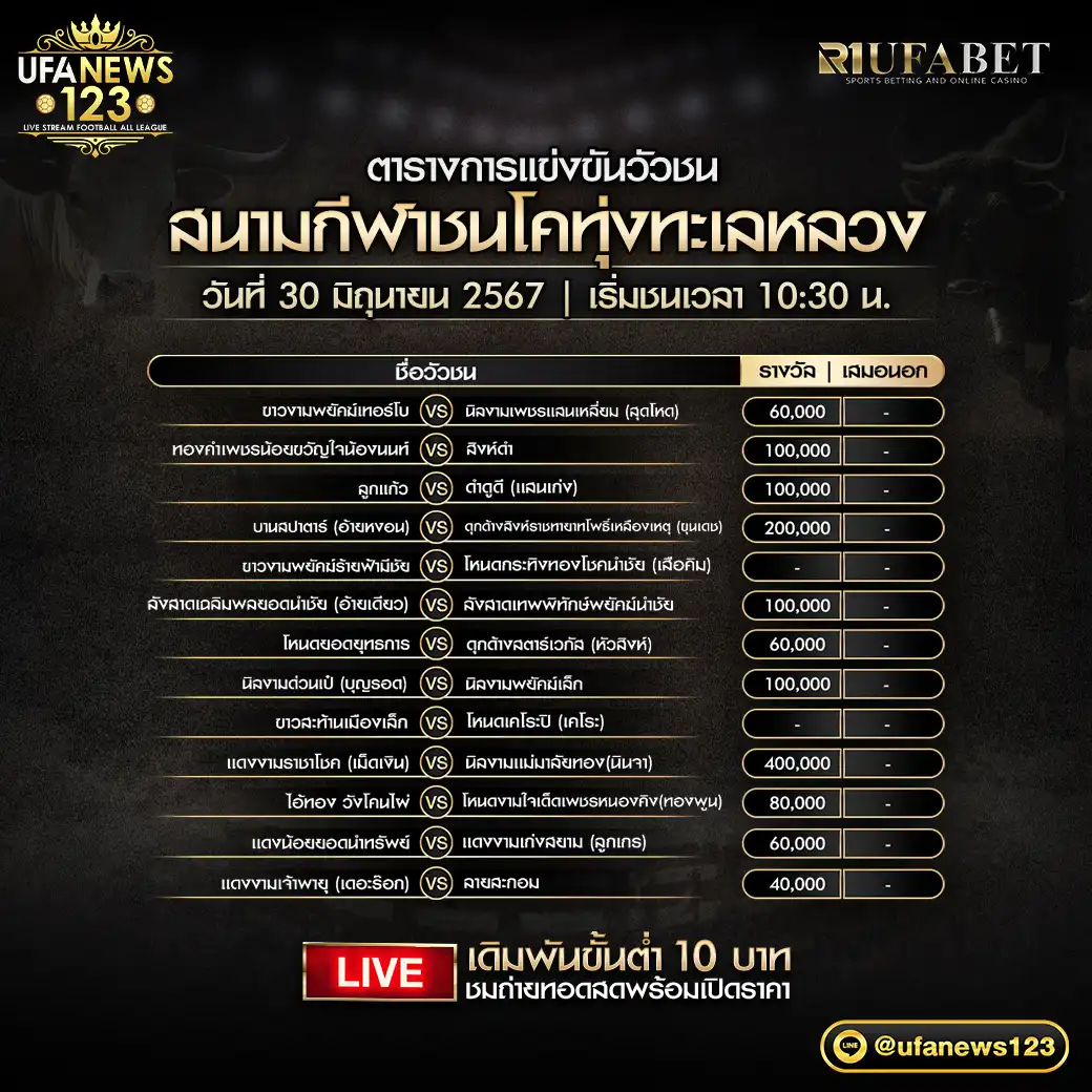 โปรแกรมวัวชน สนามชนโคทุ่งทะเลหลวง เริ่มชนเวลา 10.50 น. 30 มิถุนายน 2567