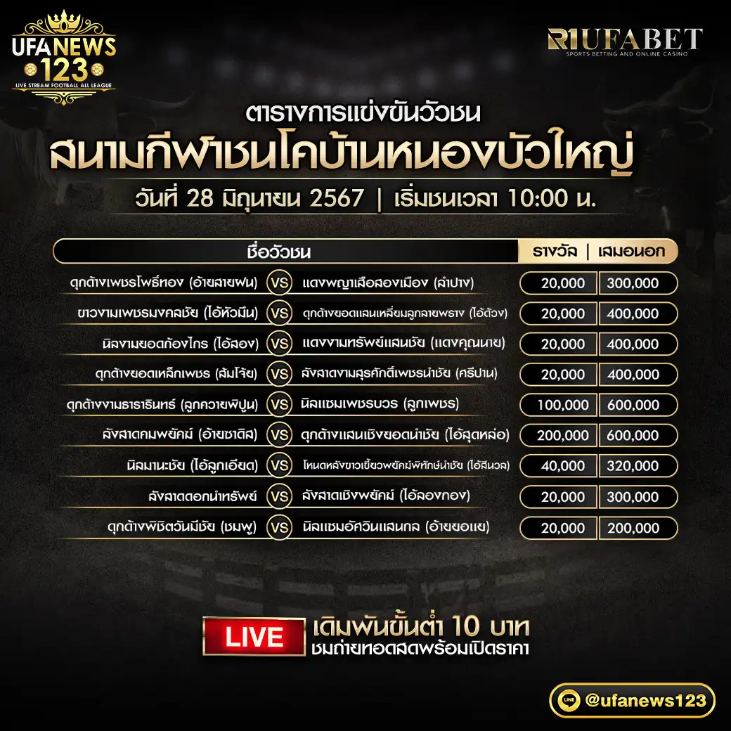 โปรแกรมวัวชน สนามชนโคบ้านหนองบัวใหญ่ เริ่มชนเวลา 10:00 น. 28 มิถุนายน 2567