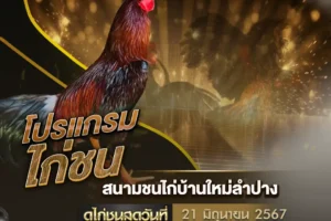 โปรแกรมไก่ชน 21 มิถุนายน 2567