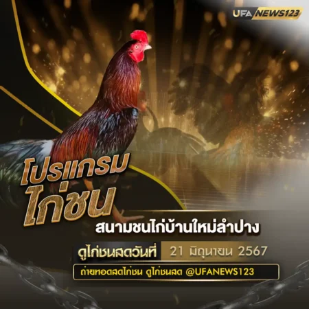 โปรแกรมไก่ชน 21 มิถุนายน 2567