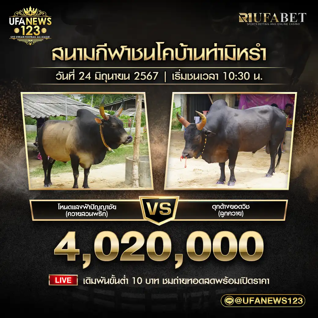 โหนดแสงฟ้าปัญญาชัย (ควายสวนพริก) VS ดุกด้างยอดวิชา (ลูกควาย) ชิงรางวัล 4,020,000 บาท