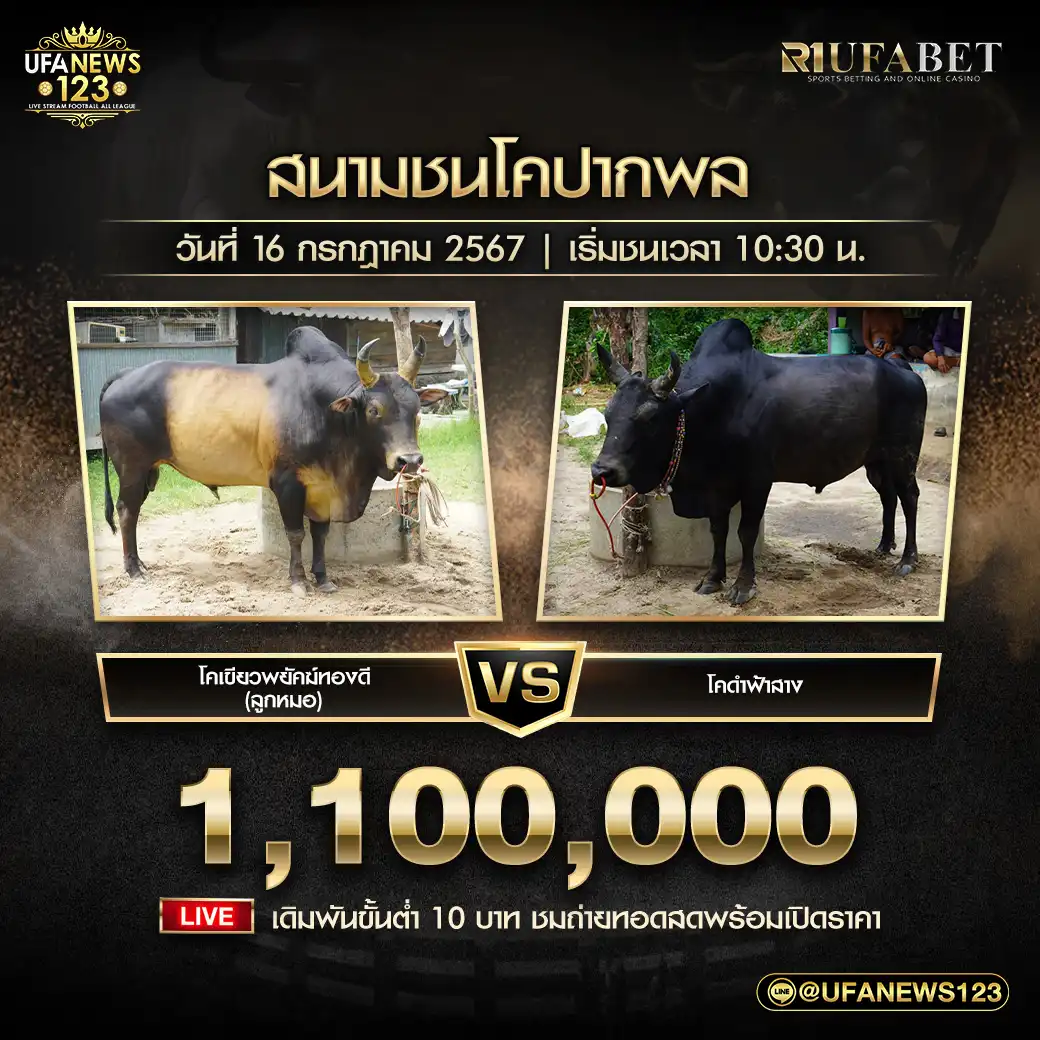 ดำฟ้าสาง VS เขียวพยัคฆ์ทองดี (ลูกหมอ) ชิงรางวัล 1,100,000 บาท