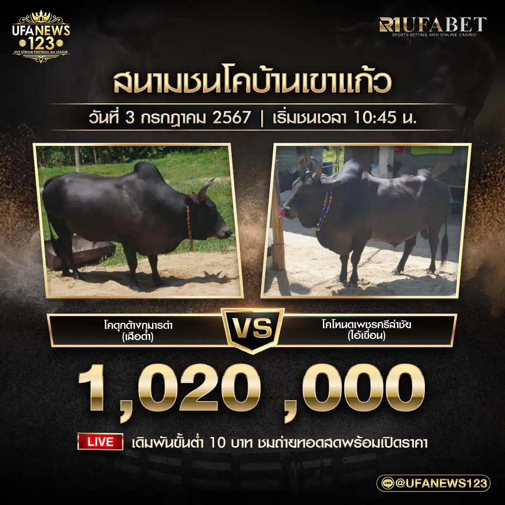 ดุกด้างกุมารดอย (เสือดำ) VS โหนดเพชรศรีล่าชัย (ไอ้เขื่อน) ชิงรางวัล 1,020,000 บาท