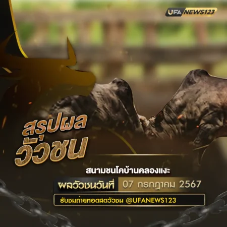 ผลวัวชน 07 กรกฎาคม 2567