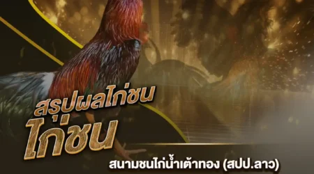 ผลไก่ชน 03 กรกฎาคม 2567