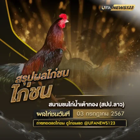 ผลไก่ชน 03 กรกฎาคม 2567