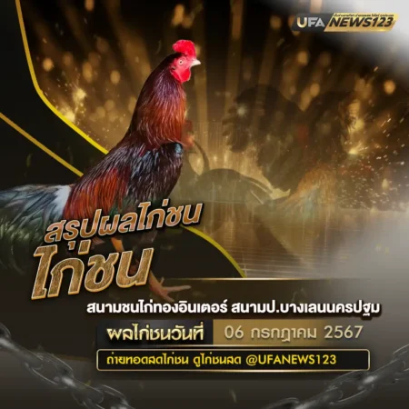 ผลไก่ชน 06 กรกฎาคม 2567