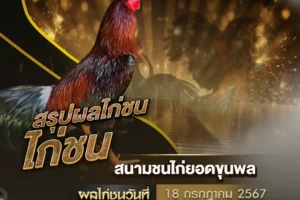 ผลไก่ชน 18 กรกฎาคม 2567