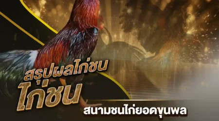 ผลไก่ชน 18 กรกฎาคม 2567