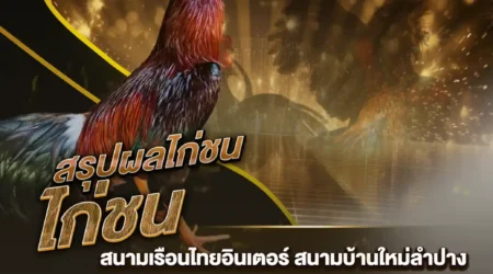 ผลไก่ชน 19 กรกฎาคม 2567