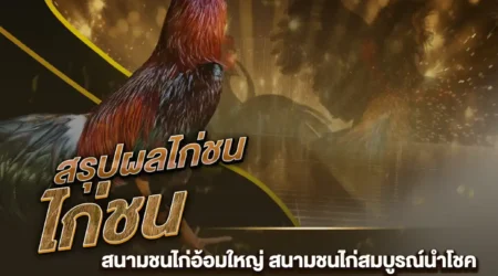 ผลไก่ชน 21 กรกฎาคม 2567