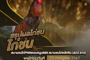 ผลไก่ชน 23 กรกฎาคม 2567