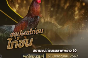 ผลไก่ชน 25 กรกฎาคม 2567